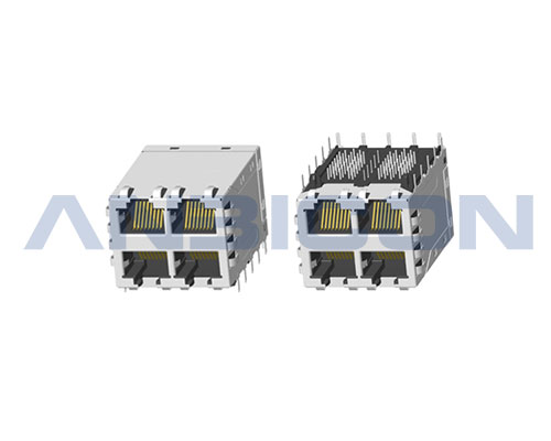 RJ45 10G ; 2X2 ports ; Without LED ; With metal shield（EMI Fingers） . PCB Retaining Post :solid(Type A)